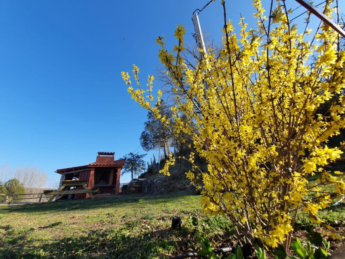 Casa Rural Manitoba Luxe Buenache de la Sierra Esterno foto